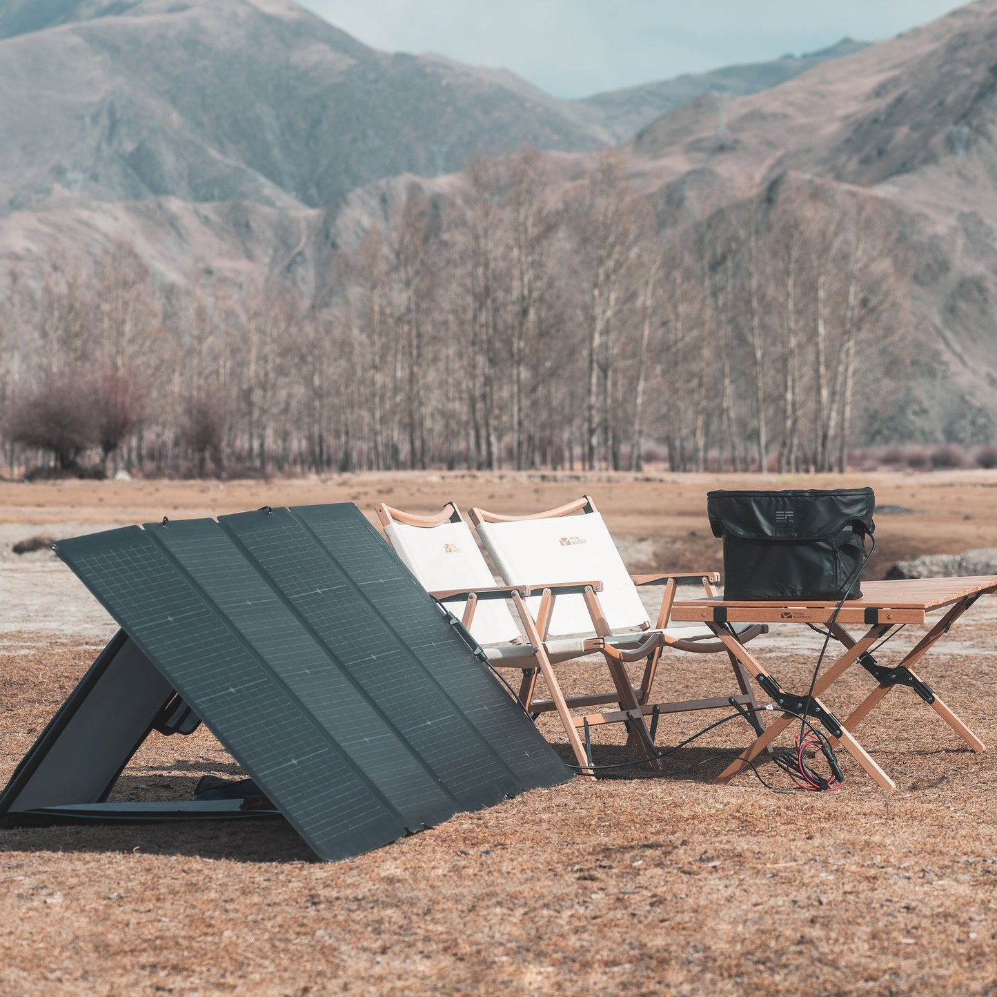 Ecoflow Panel Solar Plegable Bifacial 220 W Monocristalino